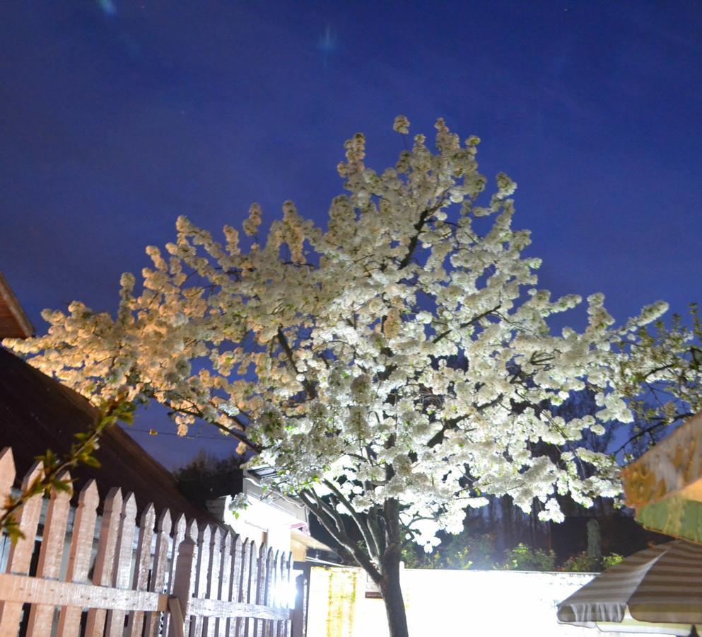 Dove Cottage Srinagar (Jammu and Kashmir) Bagian luar foto