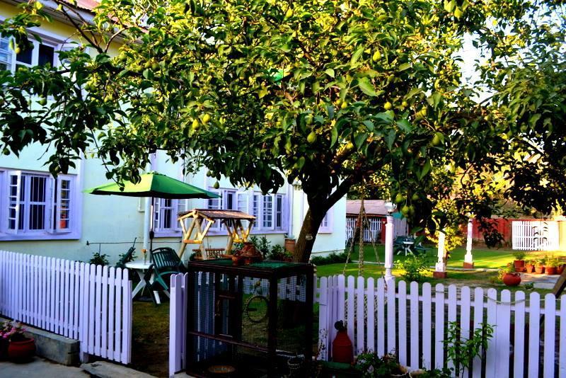 Dove Cottage Srinagar (Jammu and Kashmir) Bagian luar foto